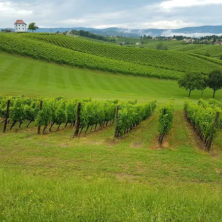 Venko * Slovenske Konjice