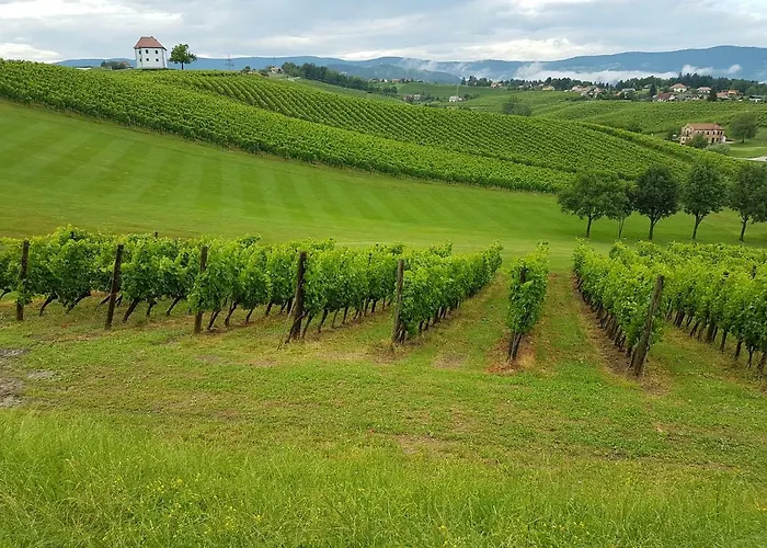 Venko * Slovenske Konjice